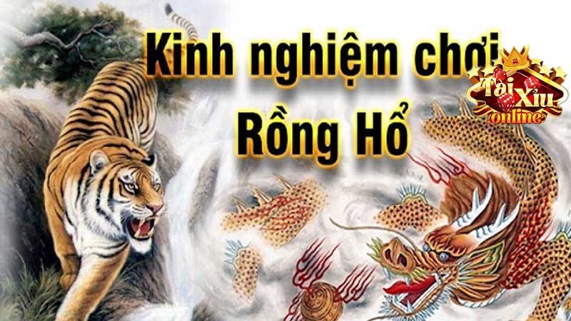 Mẹo chơi Rồng Hổ dành cho tân thủ